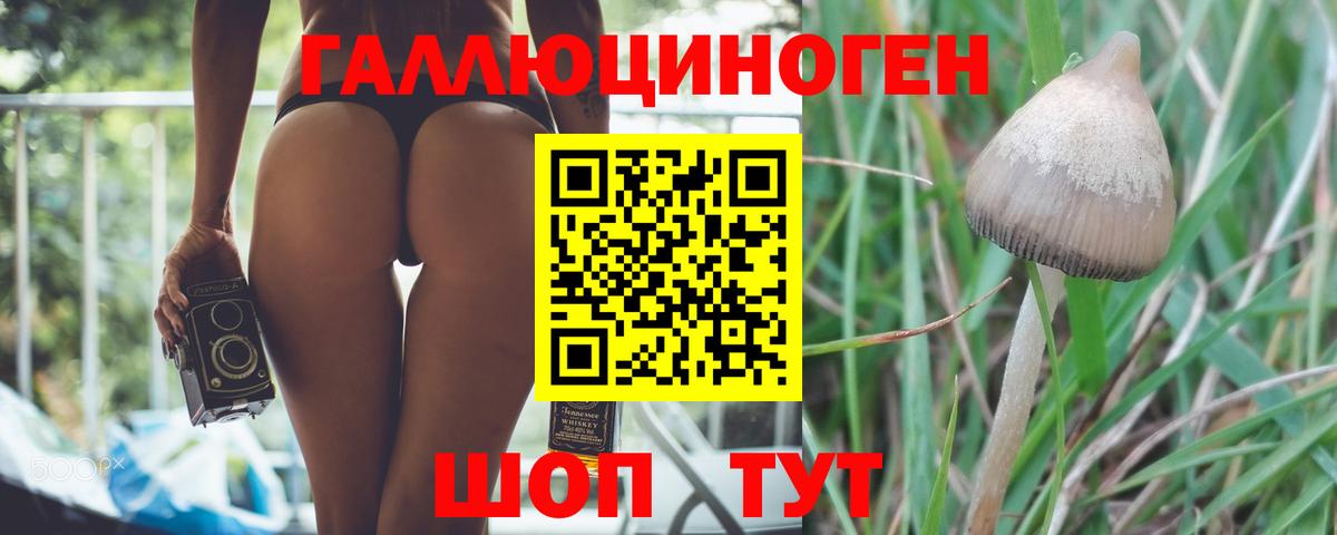 Биробиджан  Галлюциногенные грибы мухоморы  Вход с VPN  Галлюциногенные грибы прущие грибы 